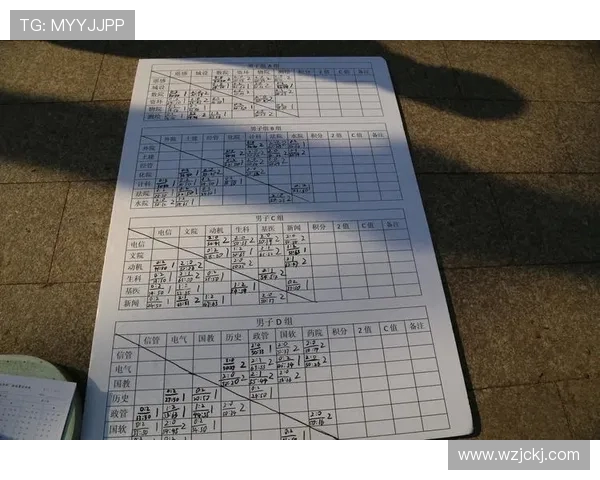 武汉排球队的个人能力分析与发展潜力探讨